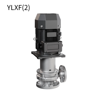 Cirkulationspump i rostfritt stål